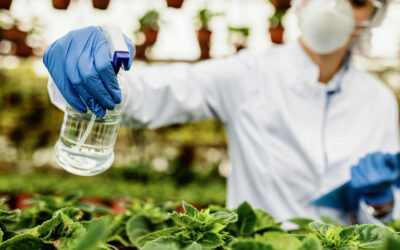 Dieta basada en plantas para el tratamiento nutricional en la Enfermedad Renal Crónica