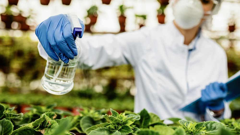 Dieta basada en plantas para el tratamiento nutricional en la Enfermedad Renal Crónica