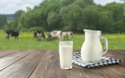 Datos sobre la leche de vaca